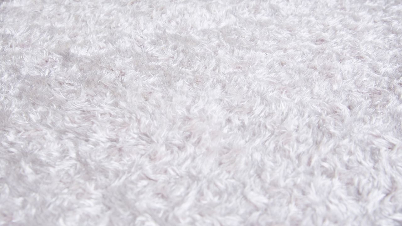 Buying Wool Carpeting for Home