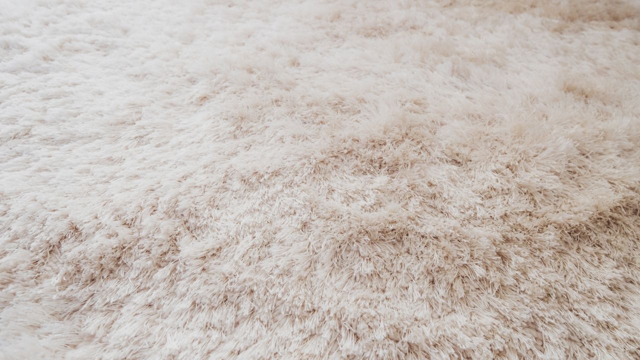 Disadvantages of Wool Carpeting